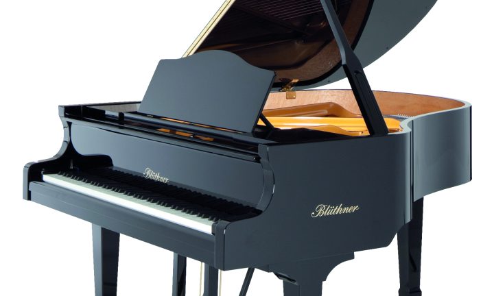Bluthner Model 10