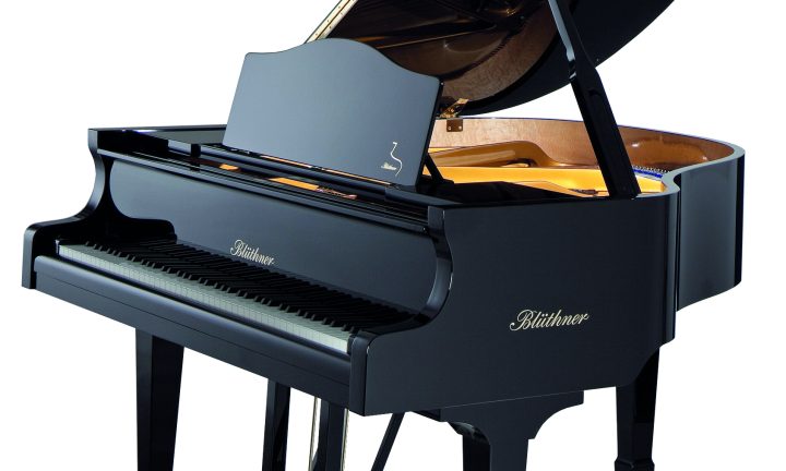 Bluthner Model 11