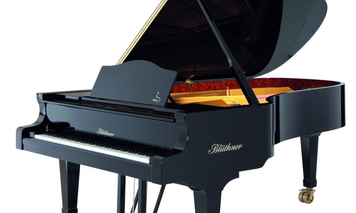 Bluthner Model 2