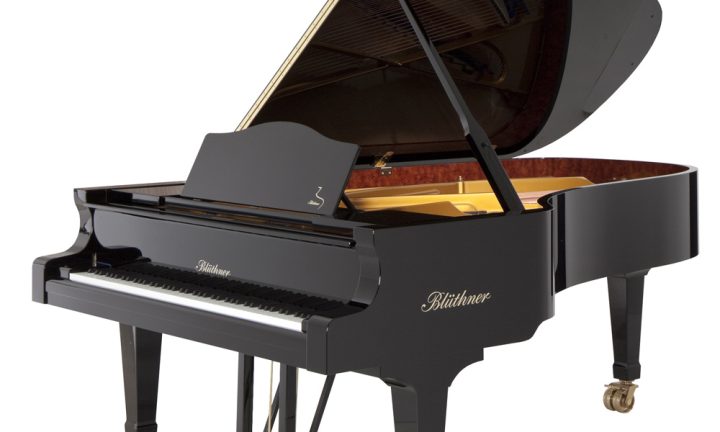 Bluthner Model 1