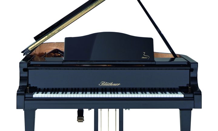 Bluthner Model 4