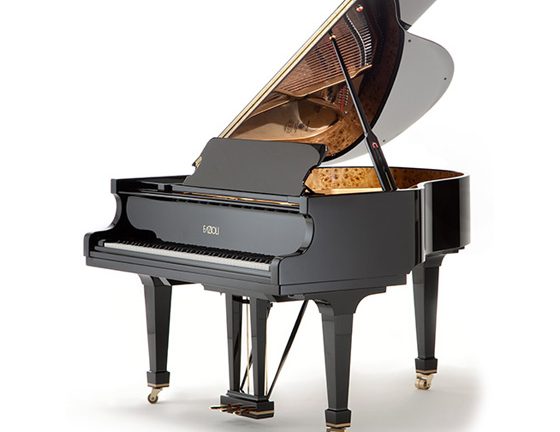 Fazioli F156