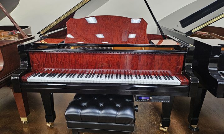 2006 Estonia Piano Hidden Beauty Player