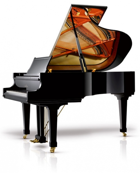 Model C189