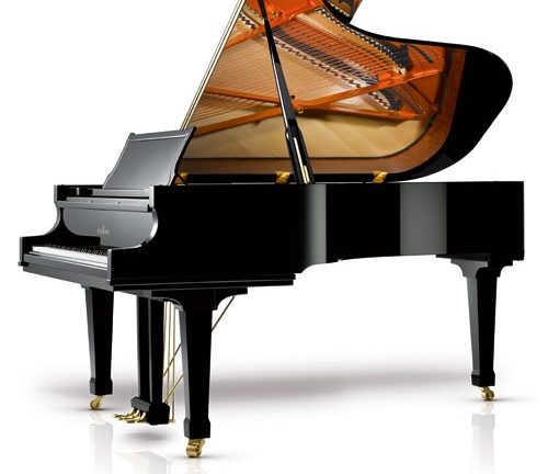 Model C213