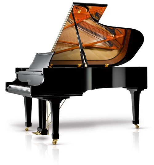 Model C213