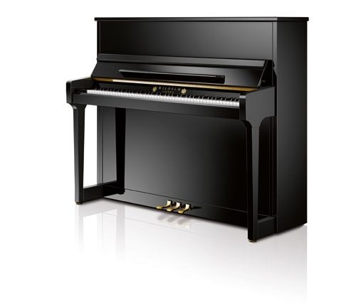 Schimmel Wilhelm Models W123 Piano