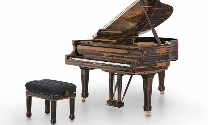 Fazioli Ebony Piano