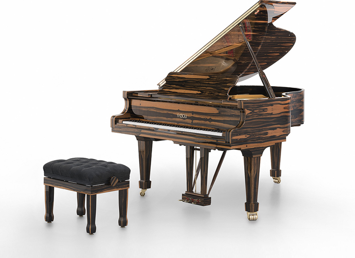 Fazioli Ebony Piano