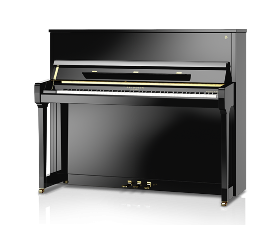 Schimmel Fridolin Models F123T Piano