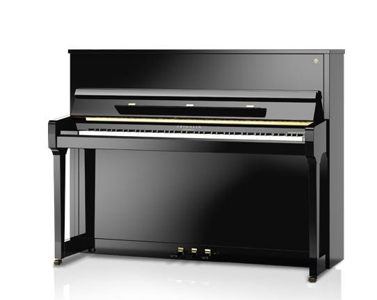 Schimmel Fridolin Models F116T Piano