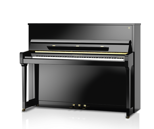 Schimmel Fridolin Models F116T Piano