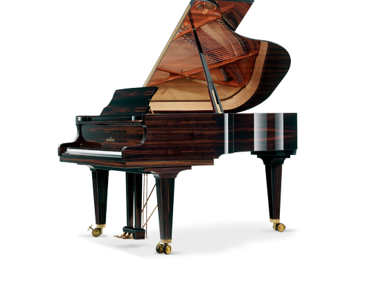 Schimmel Specialty Models Royal Wood Piano