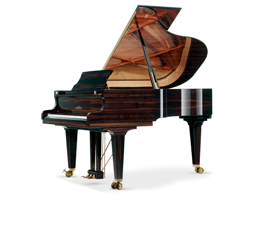 Schimmel Specialty Models Royal Wood Piano
