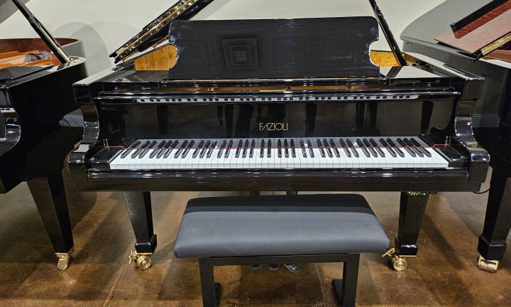 2018 Fazioli F212 QRS Player Piano