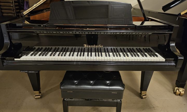 1981 Bosendorfer 225 With PianoDisc
